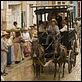 El amor en los tiempos del cólera : photo Mike Newell