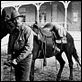 El pistolero : photo Gregory Peck, Henry King