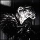Los pájaros : photo Alfred Hitchcock, Tippi Hedren