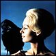 Los pájaros : photo Alfred Hitchcock, Tippi Hedren