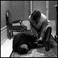 <b>Jean-Pierre Melville, Lino Ventura</b> Foto  : Hasta el último aliento