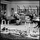 La soga : photo Alfred Hitchcock, Cedric Hardwicke, Constance Collier, Douglas Dick, Farley Granger