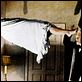 El exorcista : photo Jason Miller, Linda Blair, Max von Sydow, William Friedkin