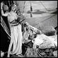Rally 'Round the Flag, Boys! : photo Joanne Woodward, Leo McCarey, Paul Newman