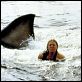 Tiburón : photo Steven Spielberg