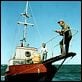 Tiburón : photo Richard Dreyfuss, Robert Shaw, Roy Scheider, Steven Spielberg