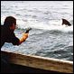 Tiburón : photo Roy Scheider, Steven Spielberg