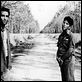 Bajo el peso de la ley : photo Jim Jarmusch, John Lurie, Roberto Benigni, Tom Waits