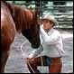 El hombre que susurraba a los caballos : photo Robert Redford