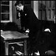 El proceso Paradine : photo Alfred Hitchcock, Alida Valli, Charles Coburn, Gregory Peck