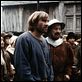 El regreso de Martin Guerre : photo Daniel Vigne, Gérard Depardieu