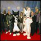 Bolt : photo Byron Howard, Chris Williams, Fred Testot, Gilles Lellouche, John Lasseter