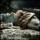 La isla de Nim : photo Abigail Breslin, Jennifer Flackett, Mark Levin