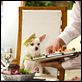 Un chihuahua en Beverly Hills : photo Raja Gosnell