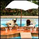Un chihuahua en Beverly Hills : photo Raja Gosnell