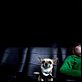 Un chihuahua en Beverly Hills : photo Raja Gosnell