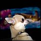 Un chihuahua en Beverly Hills : photo Raja Gosnell