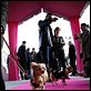 Un chihuahua en Beverly Hills : photo Raja Gosnell