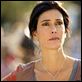 Mujeres Desesperadas : photo Teri Hatcher