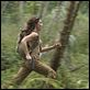 Perdidos : photo Evangeline Lilly