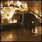 007 Quantum of Solace : photo Daniel Craig, Marc Forster