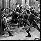 Robin de los Bosques : photo Errol Flynn, Michael Curtiz