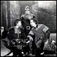 Robin de los Bosques : photo Errol Flynn, Michael Curtiz