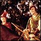 Robin de los Bosques : photo Errol Flynn, Michael Curtiz