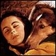 El coraje de Lassie : photo Elizabeth Taylor, Fred M. Wilcox