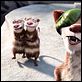 Ice Age 3: El origen de los dinosaurios : photo Carlos Saldanha