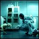 Splice. Experimento mortal : photo Sarah Polley, Vincenzo Natali