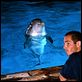 El gran azul : photo Jean-Marc Barr, Luc Besson