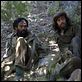 Che, Guerrilla : photo Benicio Del Toro, Steven Soderbergh