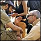 photo Kad Merad, Olivier Baroux