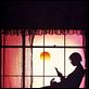 El color púrpura : photo Steven Spielberg, Whoopi Goldberg