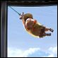 Up : photo Bob Peterson, Pete Docter