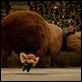 El valiente Despereaux