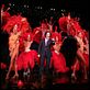 photo Gad Elmaleh