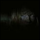 Eden Lake : photo James Watkins, Kelly Reilly