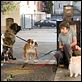 Hotel para perros : photo Emma Roberts, Jake T. Austin, Thor Freudenthal