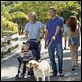 Una pareja de tres : photo David Frankel, Eric Dane, Owen Wilson