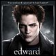 Crepúsculo : poster Catherine Hardwicke, Robert Pattinson, Stephenie Meyer