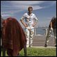 Dexter