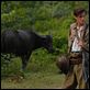 The sea wall : photo Gaspard Ulliel, Rithy Panh