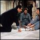 El gran enredo : photo Blake Edwards, Paul Sorvino, Ted Danson