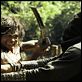 Ong Bak 2 : photo Tony Jaa