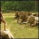 Ong Bak 2 : photo Tony Jaa