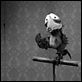 Mary and Max