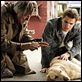 Fallen, el Ángel Caído : photo Paul Wesley, Tom Skerritt