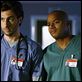 Scrubs : photo Donald Faison, Zach Braff